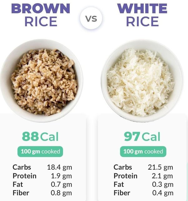 Brown Rice: A Nutritional Powerhouse Poised for Flourishing Export ...