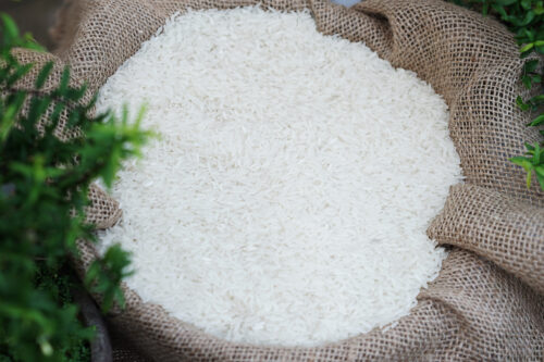 Master Agri Photo Rice Nang Hoa