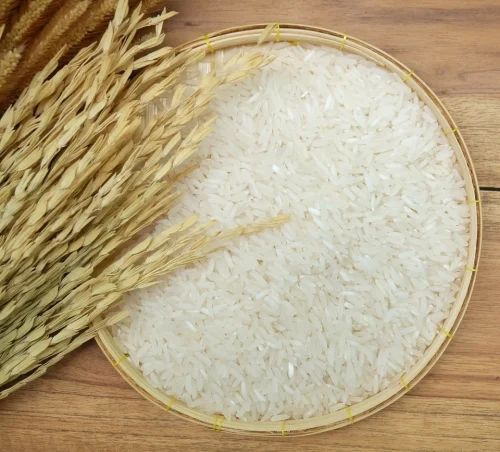 Master Agri Photo Rice OM18